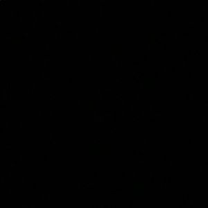 Meet your Posher, Brady